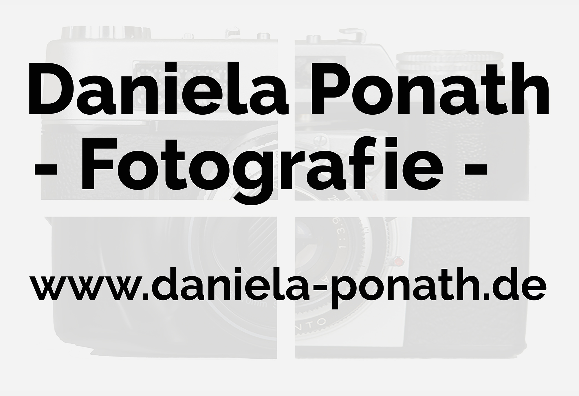 Daniela Ponath Fotografie